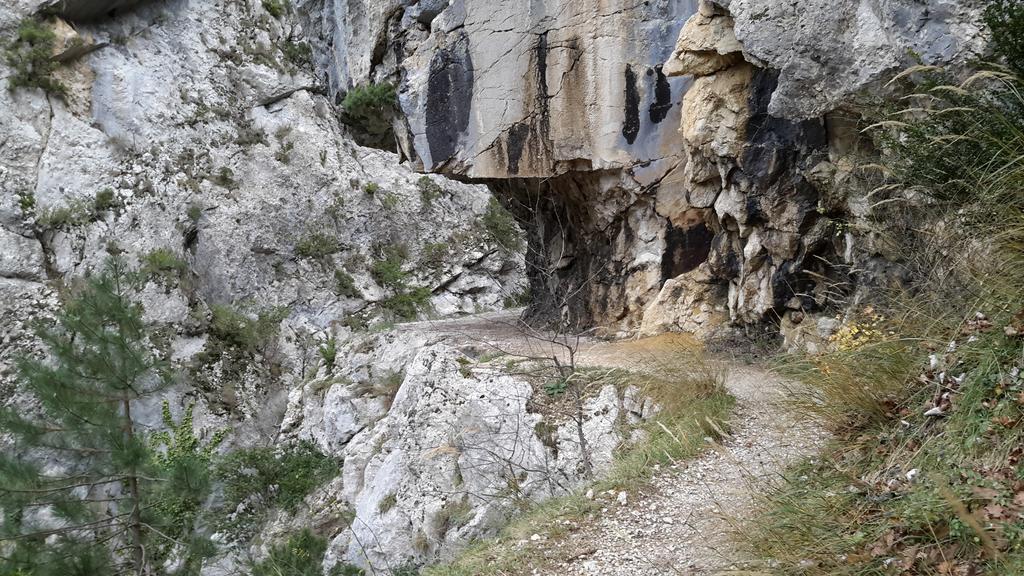 Les Cigales D'Estoublon Apartman Szoba fotó